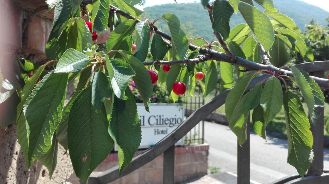 Guesthouse Il Ciliegio Sorbo Serpico Buitenkant foto